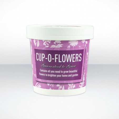 Graines en pot - Fleurs